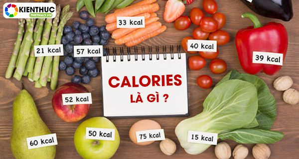 Calories là gì? Kiểm soát calo là cách hiệu quả nhất ổn sđịnh cân nặng ở mức hợp lý nhất.