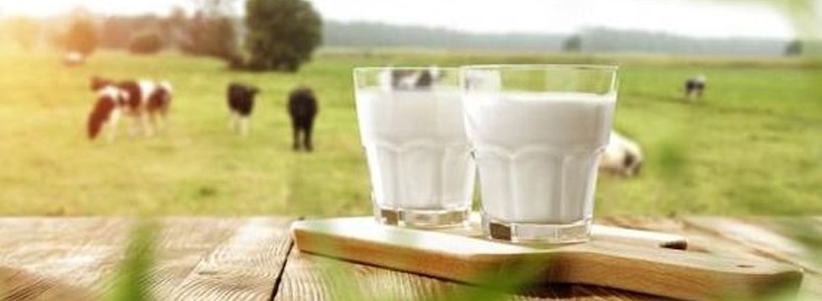 Tổng hợp 24+ món ăn tăng cân cho người gầy, người thiếu cân nặng 2 Thêm ngay "24+ món ăn tăng cân cho người gầy" vào thực đơn ăn uống mỗi ngày sẽ giúp các bạn tăng cân nhanh chóng hơn, hiệu quả hơn.