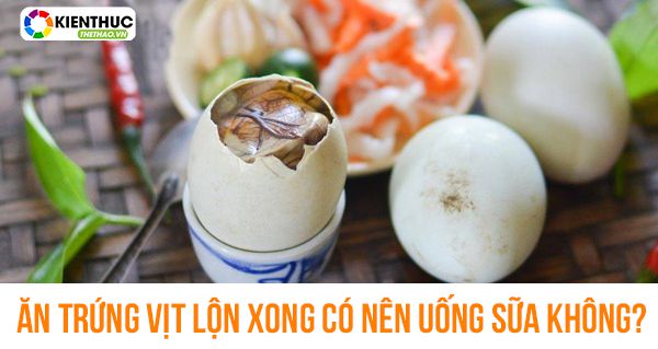 Khi ăn trứng vịt lộn xong có nên uống sữa không? 263 Untitled 1 9
