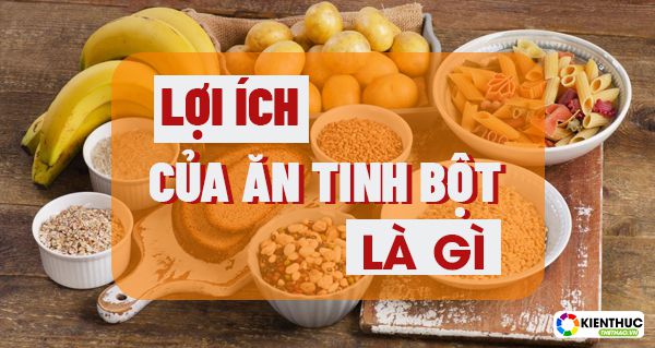 Lợi ích của ăn tinh bột là gì Ăn nhiều tinh bột có tốt không