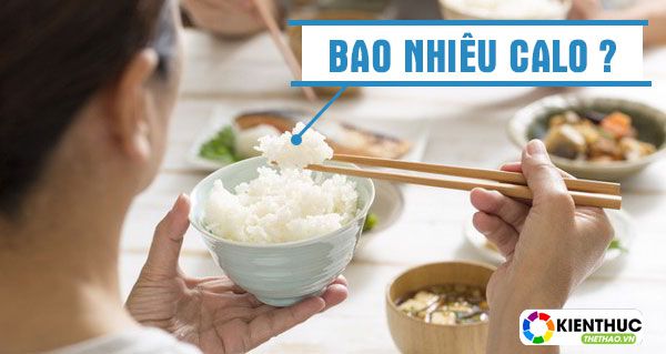 Một bát cơm trắng bao nhiêu calo? Ăn cơm trắng có bị tăng cân không? 172 Một bát cơm trắng bao nhiêu calo? Mời bạn tìm hiểu nội dung dưới đây để biết thêm chi tiết nhé.