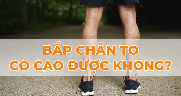 Giải đáp thắc mắc: Bắp chân to có cao được không ? 197 4 1