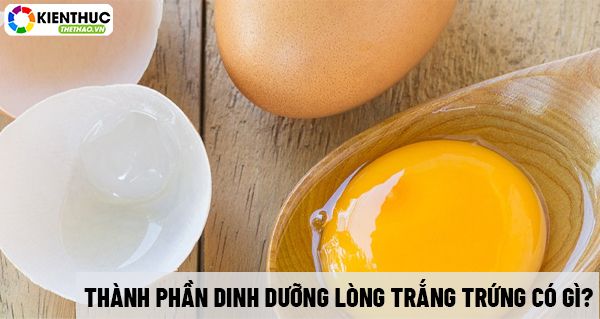 Thành phần dinh dưỡng lòng trắng trứng có thật sự tốt cho Gymer? Mời các bạn tìm hiểu qua nội dung bài viết dưới đây nhé!