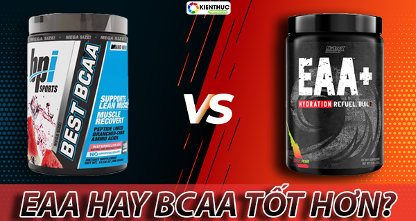 EAA là gì ? Nên bổ sung EAA hay BCAA thì tốt cho người tập gym-thể hình? Mời các bạn tìm hiểu nội dung bài viết dưới đây để biết thêm chi tiết nhé!