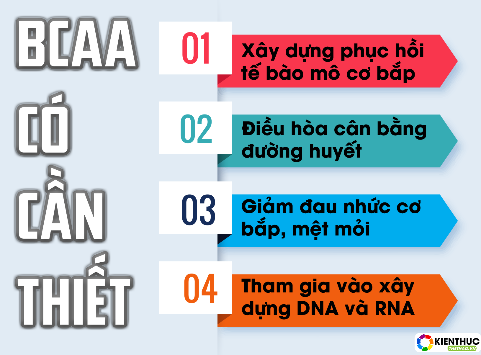 BCAA là gì? Bổ sung BCAA mang lại những lợi ích gì cho cơ bắp ? 1 Bạn đã thực sự hiểu rõ về sản BCAA là gì chưa? Tại sao người tập thể hình nên bổ sung BCAA? Tham khảo bài viết để biết thêm chi tiết nhé!