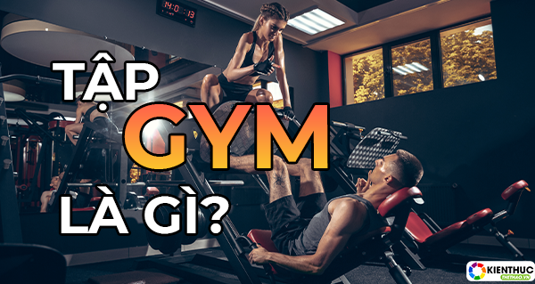 Bạn là người mới tập? Vậy hãy tham khảo ngay những khái kiến thức cơ bản về tập gym cho người mới tậpnqua nội dung bài viết dưới đây nhé!