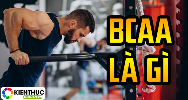 Bạn đã thực sự hiểu rõ về sản BCAA là gì chưa? Tại sao người tập thể hình nên bổ sung BCAA? Tham khảo bài viết để biết thêm chi tiết nhé!