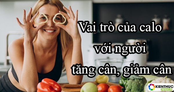 Mối quan hệ giữa calo và cân nặng của cơ thể là gì ? Mời các bạn tham khảo thông tin bài viết dưới đay để biết thêm chi tiết nhé!
