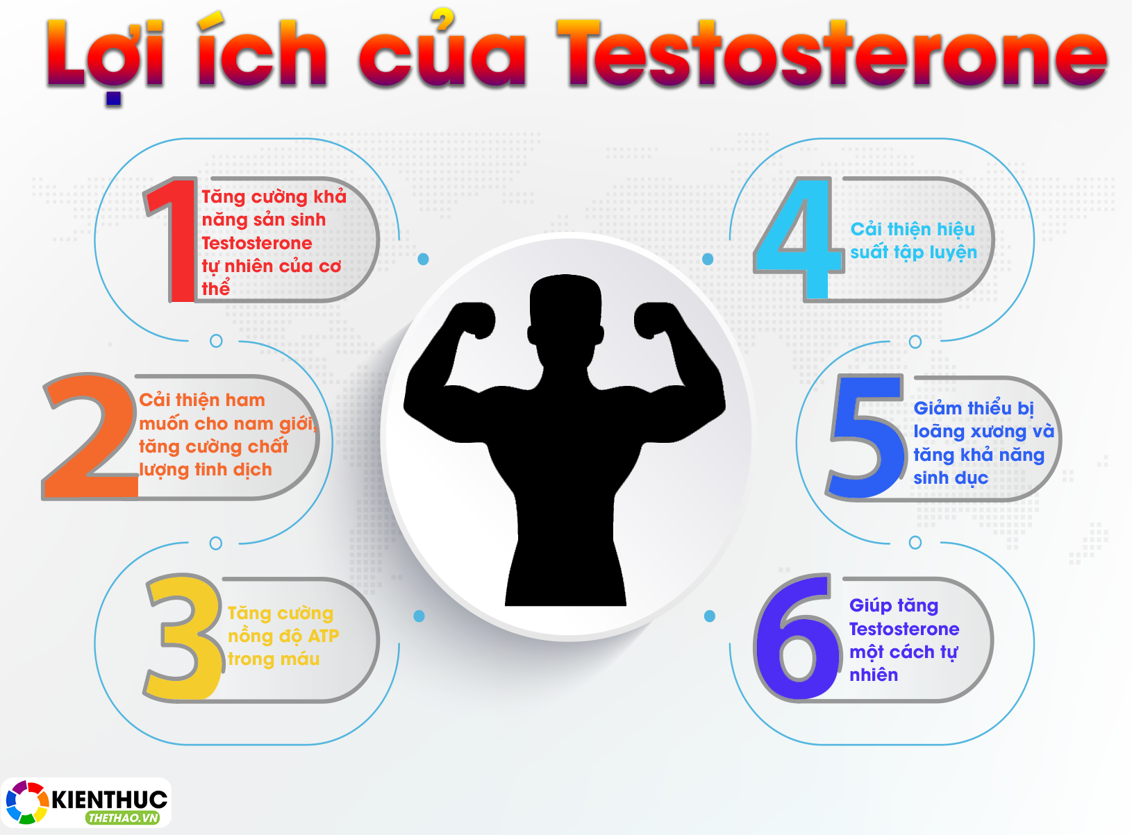 Test HD là gì? Có nên bổ sung Test HD Muscletech không? 1 Test HD là gì? Có nên bổ sung Test HD Muscletech không? Mời các bạn tham khảo nội dung bìa viết dưới đây nhé!