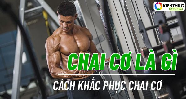 Chai cơ là gì? Làm thế nào để khắc phục hiệu quả tình trạng chai cơ trong tập luyện thể hình, bài viết dưới đây sẽ giúp bạn giải đáp các thắc mắc....