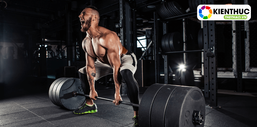 Là người tập luyện thể hình có lẽ Deadlift -là bài tập không thể thiếu trong lịch tập của mỗi gymer. Bài tập Deadlift mang lại những lợi ích gì cho người tập?