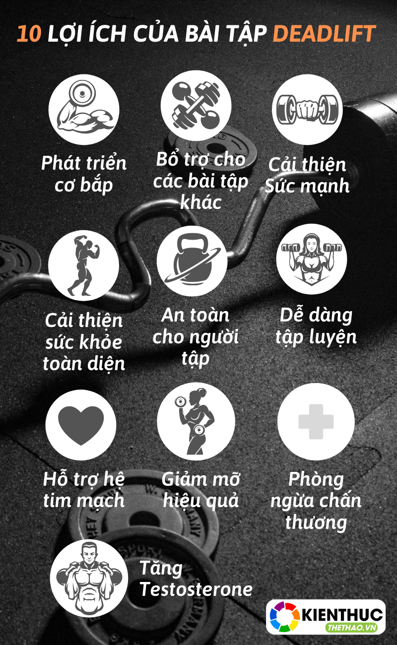 Là người tập luyện thể hình có lẽ Deadlift -là bài tập không thể thiếu trong lịch tập của mỗi gymer. Bài tập Deadlift mang lại những lợi ích gì cho người tập?