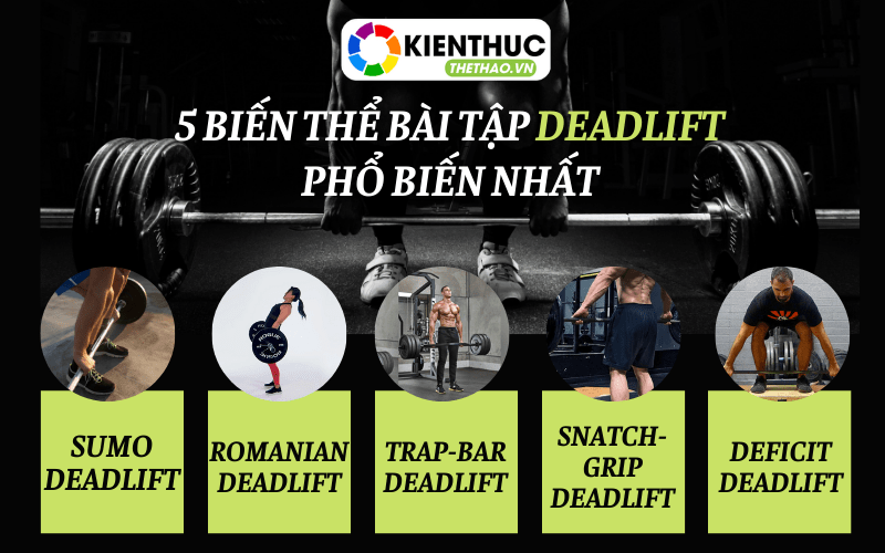 Là người tập luyện thể hình có lẽ Deadlift -là bài tập không thể thiếu trong lịch tập của mỗi gymer. Bài tập Deadlift mang lại những lợi ích gì cho người tập?
