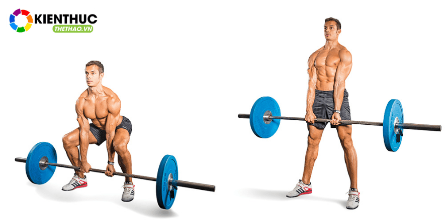 Là người tập luyện thể hình có lẽ Deadlift -là bài tập không thể thiếu trong lịch tập của mỗi gymer. Bài tập Deadlift mang lại những lợi ích gì cho người tập?