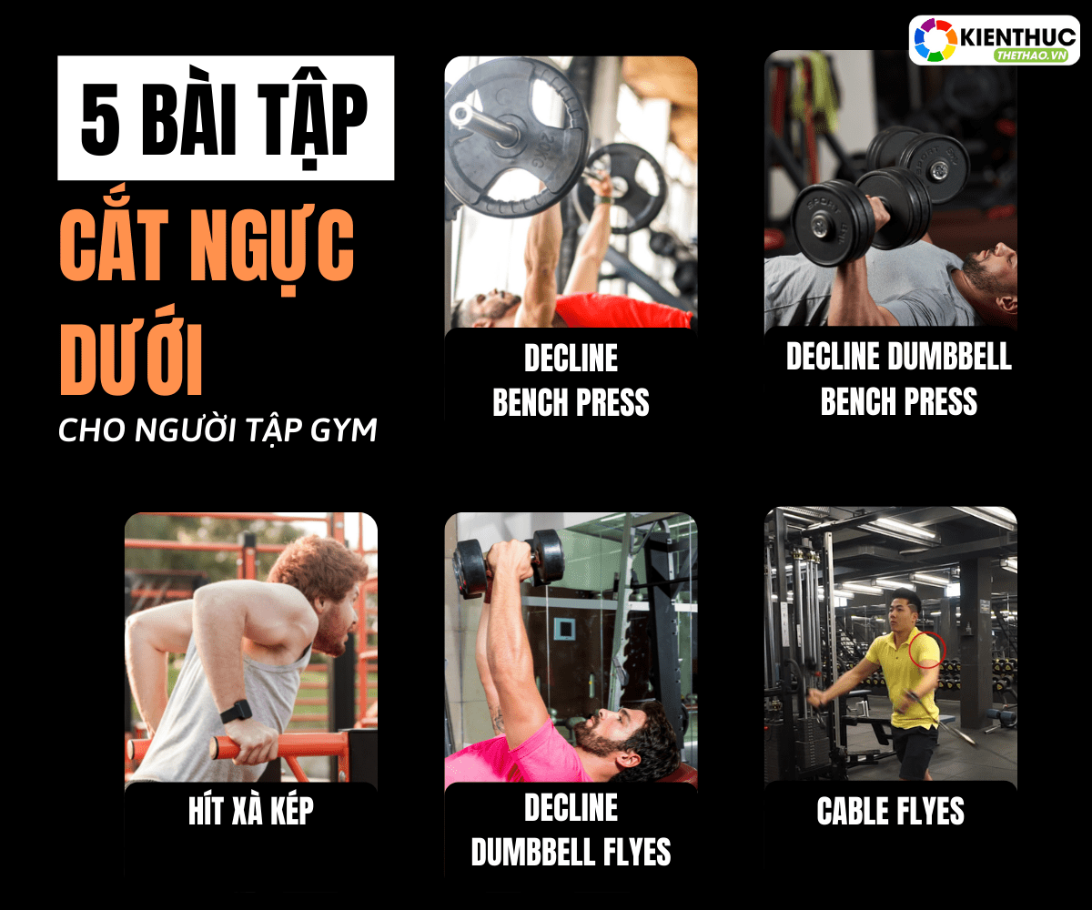 Để có một phom ngục dày bả, nở nang thì tập như thế nào? Kiến Thức Thể Thao mời các bạn tham khảo ngay hướng dẫn chi tiết 5 bài tập cắt ngực dưới....