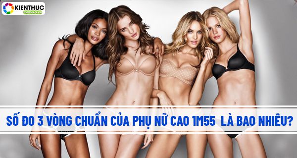 so do 3 vong chuan cua nu cao 1m55 2