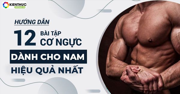 Các bài tập ngực không thể thiếu trong lịch tập của nam giới. Với các bạn mới tập cần lưu ý những gì ? Mời các bạn tìm hiểu nội dung dưới đây....