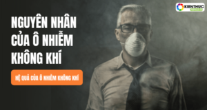Nguyên nhân của ô nhiễm không khí
