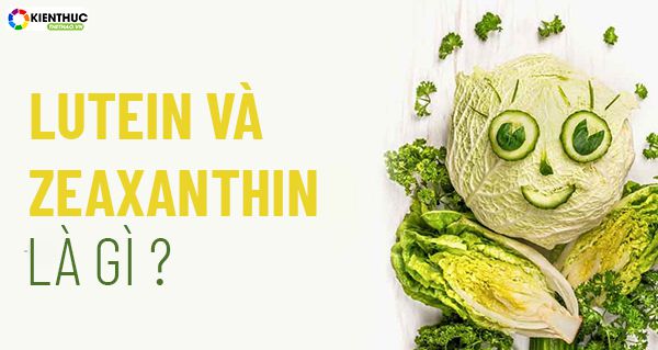 lutein va zeaxanthin co tac dung gi 8