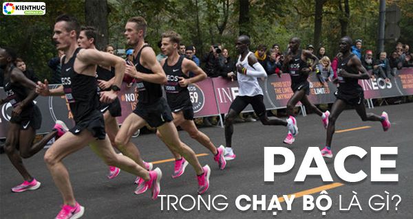 pace la gi va pace trong chay bo la gi 6