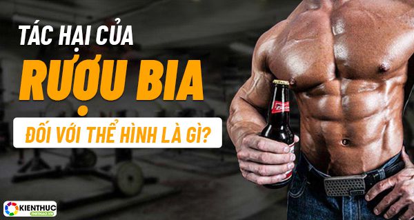 Tác hại của rượu bia đối với thể hình là gì? Uống rượu bia trước khi tập có nguy hiểm như bạn nghĩ không? Bài viết dưới đây sẽ giúp bạn giải đáp thắc măc này....