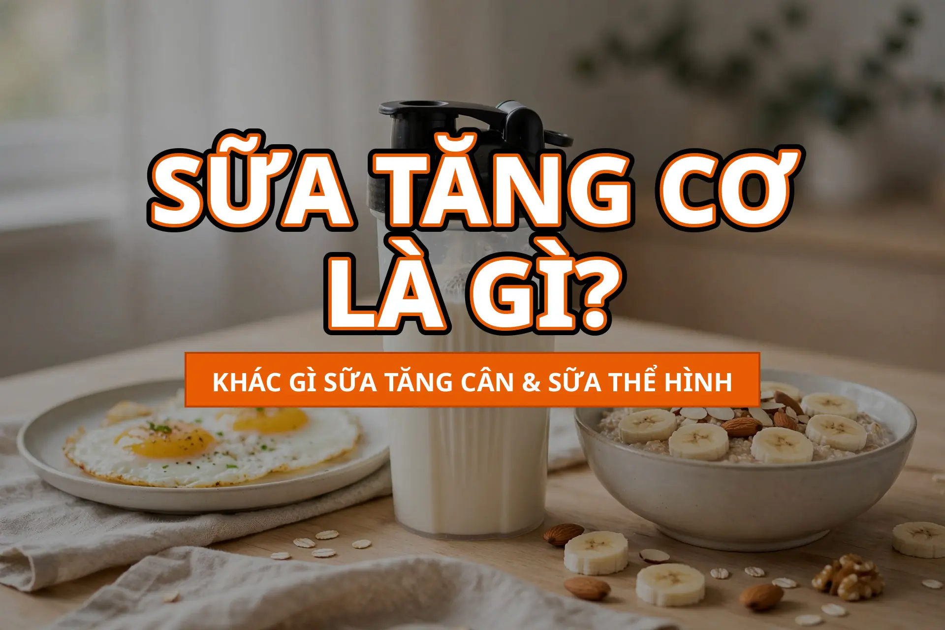 Sữa tăng cơ là gì? Khác gì sữa tăng cân và sữa thể hình